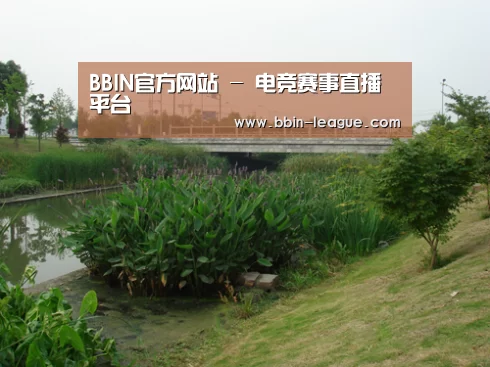 案例展示四(图1)