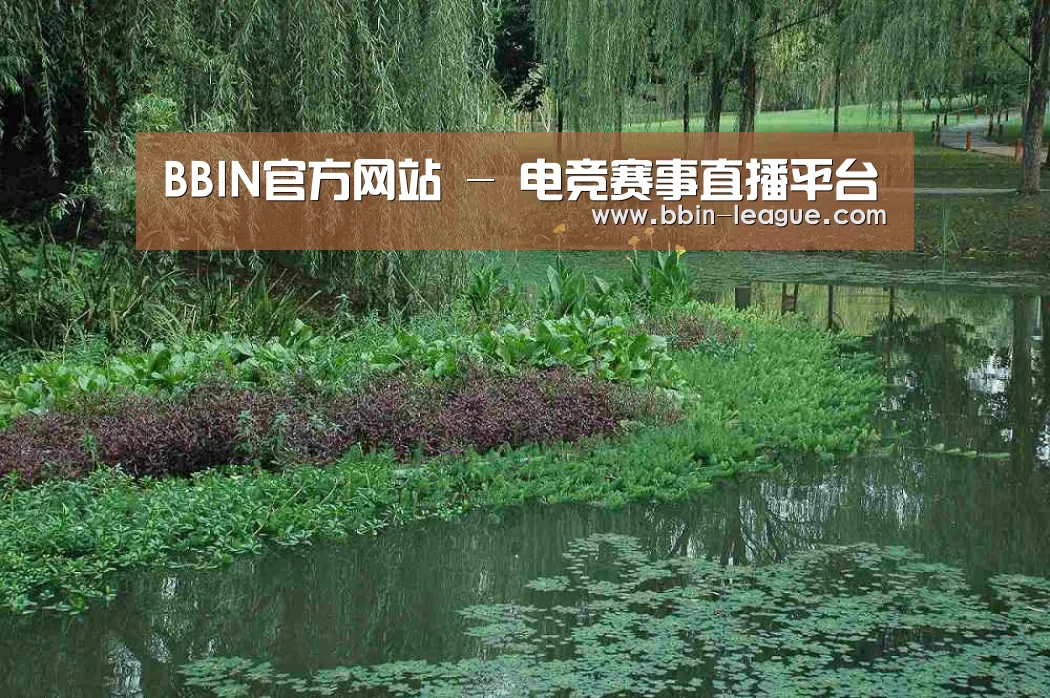 案例展示一(图1)