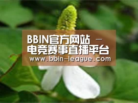 产品名称三