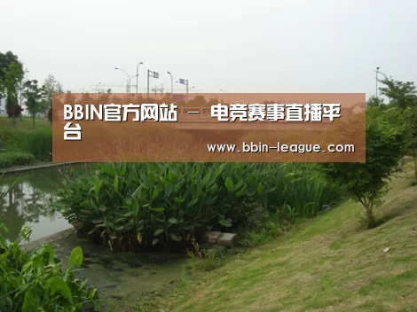 案例展示四