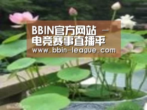 产品名称一
