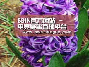 产品名称八