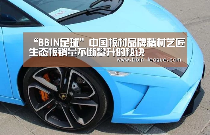 BBIN篮球