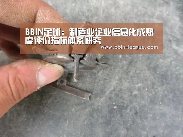 BBIN足球:制造业企业信息化成熟度评价指标体系研究(图3) BBIN电竞
