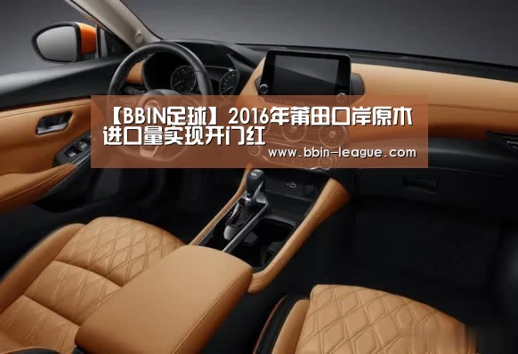 BBIN足球