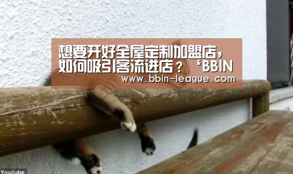 BBIN体育