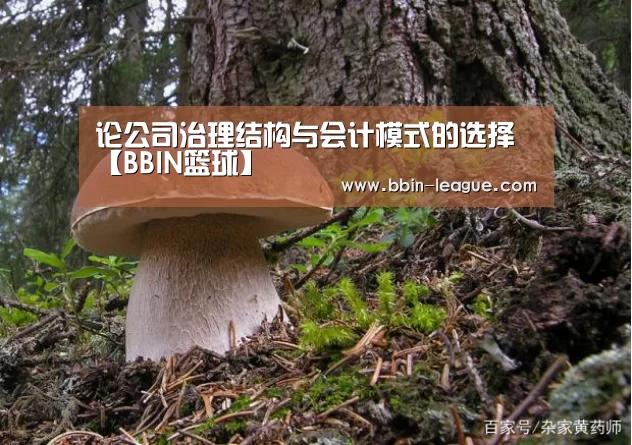 论公司治理结构与会计模式的选择【BBIN篮球】(图3) BBIN电竞