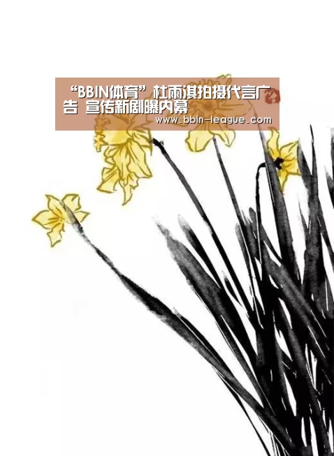 BBIN体育