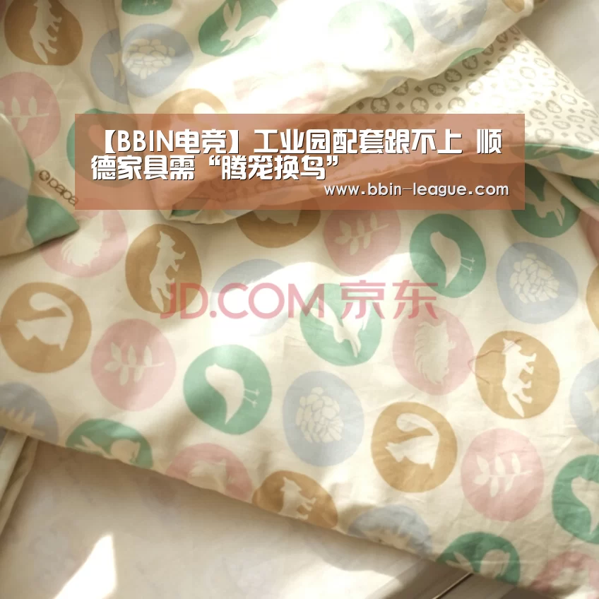 【BBIN电竞】工业园配套跟不上 顺德家具需“腾笼换鸟”(图2) BBIN篮球