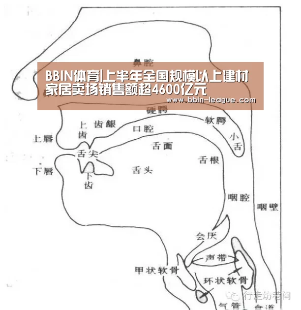 BBIN体育|上半年全国规模以上建材家居卖场销售额超4600亿元(图1) BBIN体育