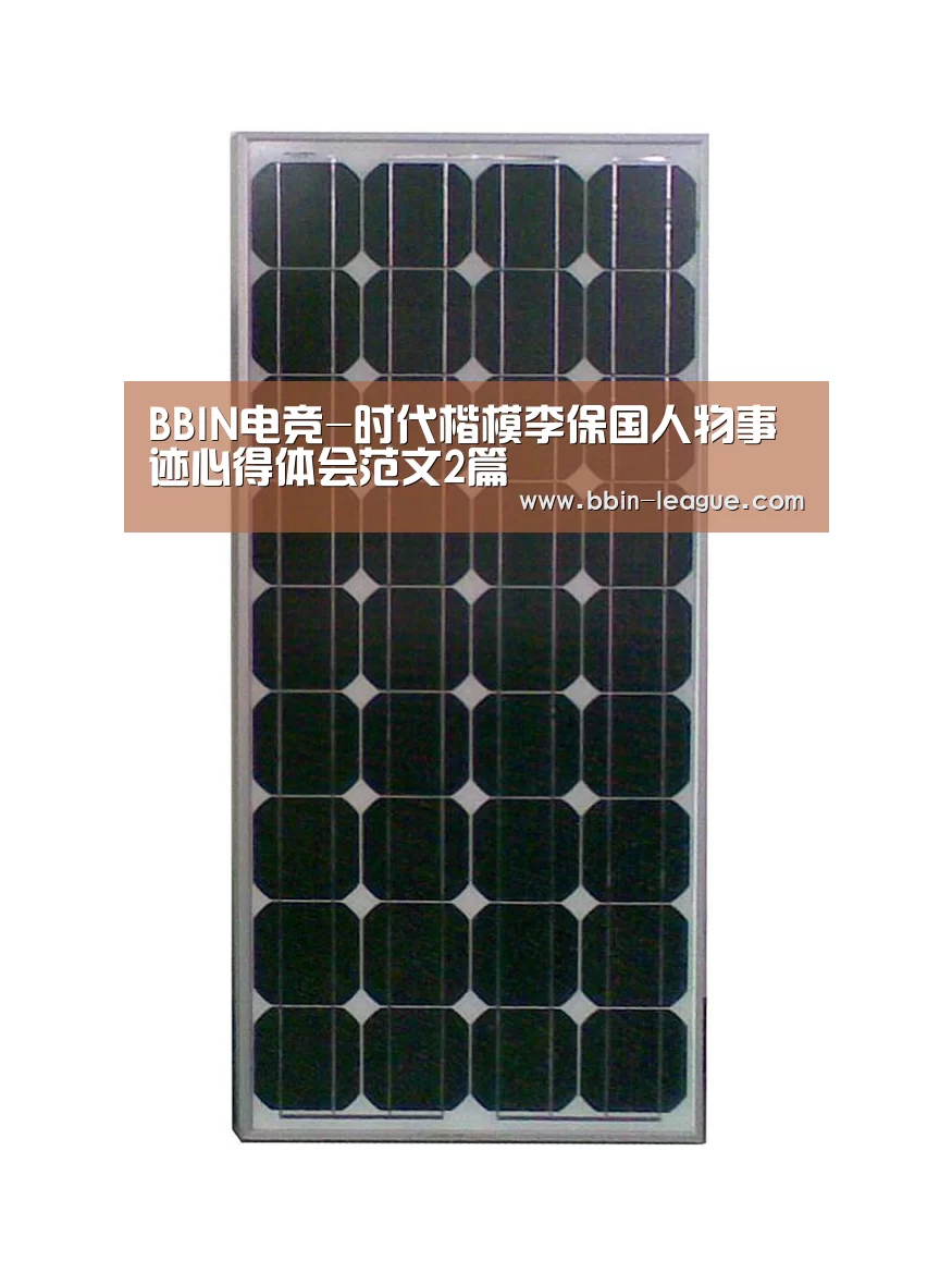 BBIN电竞-时代楷模李保国人物事迹心得体会范文2篇(图1) BBIN足球