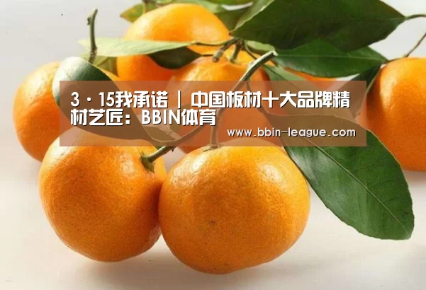 3·15我承诺 | 中国板材十大品牌精材艺匠:BBIN体育(图1) BBIN足球
